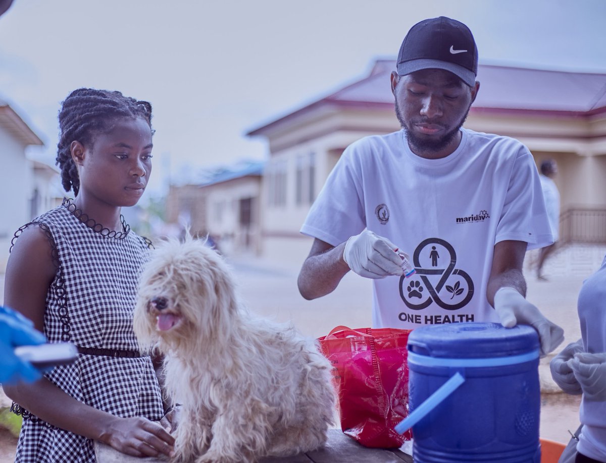 GvmsaKnust's tweet photo. A vaccination drive was also carried out on Saturday, June 27, 2026, for pet owners in the communities of Beposo, Anansu, Bonkrong, Nsuta town, and Abonkosu.
📸 https://t.co/5oulgK5v9r