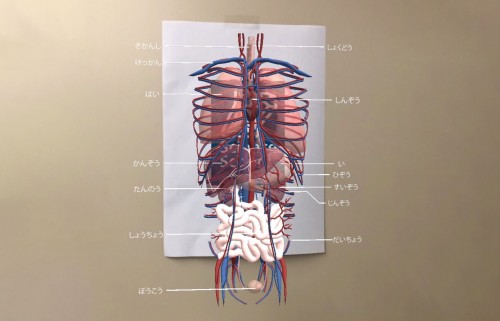 modely_melta's tweet photo. ＼研究・教育用の3Dコンテンツ、制作できます！／
モデリーは、複雑で専門的な内容も直感的に伝わる3Dコンテンツ制作が可能です✨️

動画からAR・VRまで、記憶に残る教育ツールをかたちにします。

企画・絵コンテからワンストップで対応します！

▼お問い合わせ
https://t.co/v2QWF3sEHL https://t.co/LwpoHs0gf6