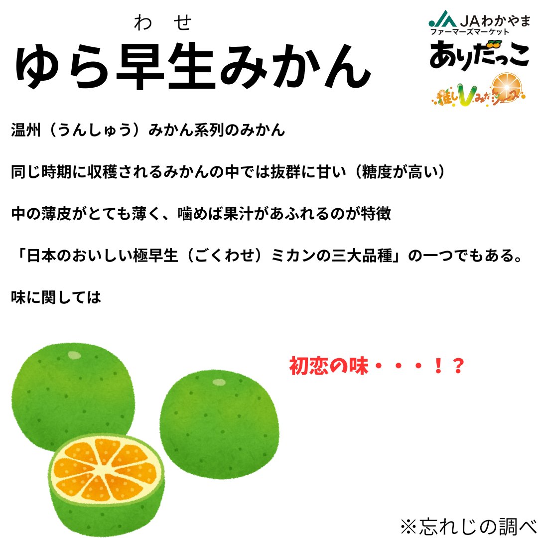 amethyst611's tweet photo. 🍊推しVみかんジュースコラボ🍊

Q:
原材料のみかんってどんなみかん？？

A:
初恋味のみかん！？

「yuradool」に使っているみかんは栽培が難しく、希少性の高い「みかん」なんだそうです。

そんな「yuradool」ネットで販売しているのはココだけ‼️
（7/6現在）

各タレントによる食レポ配信も是非ご覧ください📺️

 https://t.co/plXOCwcRGM
↑↑販売サイトをCHECK‼️ 

#忘れじのPR案件 
#推しVみかんジュースコラボ