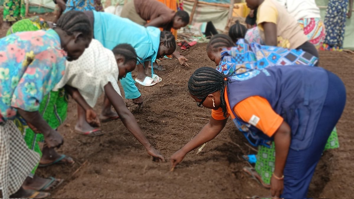 hard_uganda's tweet photo. Updates
Our #GreenHarvest project participants were taken through Nursery bed preparation and seeds planting   in #Rhino Camp Refugee Settlement. Reaching out to 60 participants in demo site one. Thanks to @WeAreCohere_Org and @IKEA for the fundings to improve lives of refugees https://t.co/6elZYf6rQ7