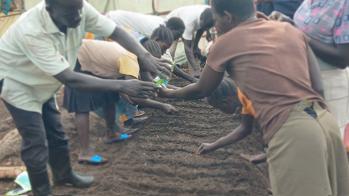 hard_uganda's tweet photo. Updates
Our #GreenHarvest project participants were taken through Nursery bed preparation and seeds planting   in #Rhino Camp Refugee Settlement. Reaching out to 60 participants in demo site one. Thanks to @WeAreCohere_Org and @IKEA for the fundings to improve lives of refugees https://t.co/6elZYf6rQ7