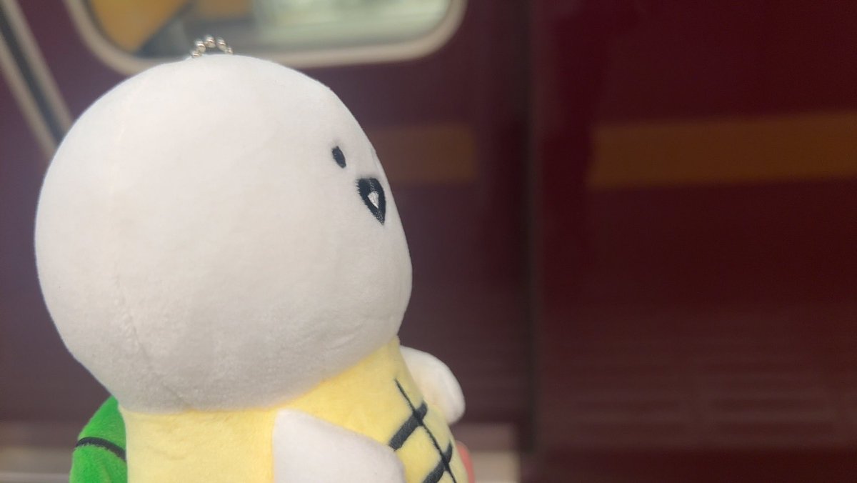 KP_alxd's tweet photo. 「前に並んではるから声かけてみた」と娘から送られてきた笑
無事我が家までこられました
いらっしゃいかめぶん☺️
#お文具の談話室 https://t.co/1GYVtpnEGc