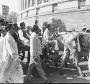 mishramunitu1's tweet photo. सितंबर 1965 में अटलबिहारी बाजपेई ने 800 भेड़ों के साथ रैली चीनी दूतावास तक निकाली थी। भेड़ो के गले में प्लेकार्ड लगा था जिसमें लिखा था
"Eat me but save the world." https://t.co/NXtJxbm3rb