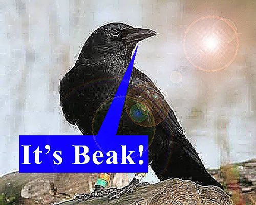 Sir_Paulord tweet picture
