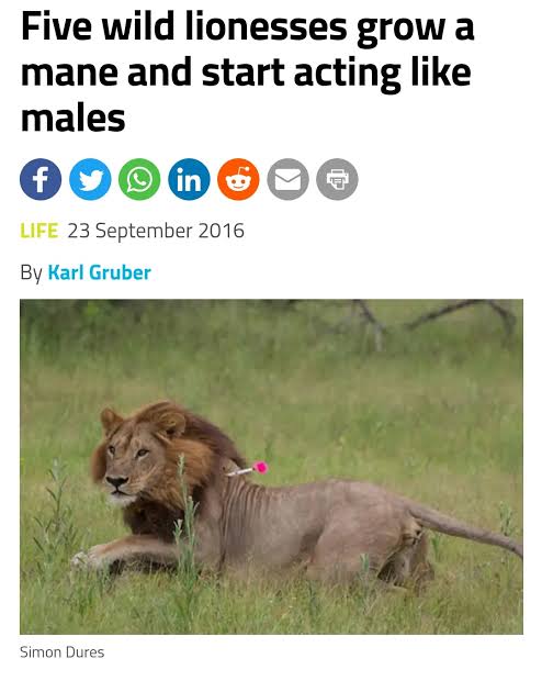 Transphobes_Ls_'s tweet photo. https://t.co/AS6k5HhG0v