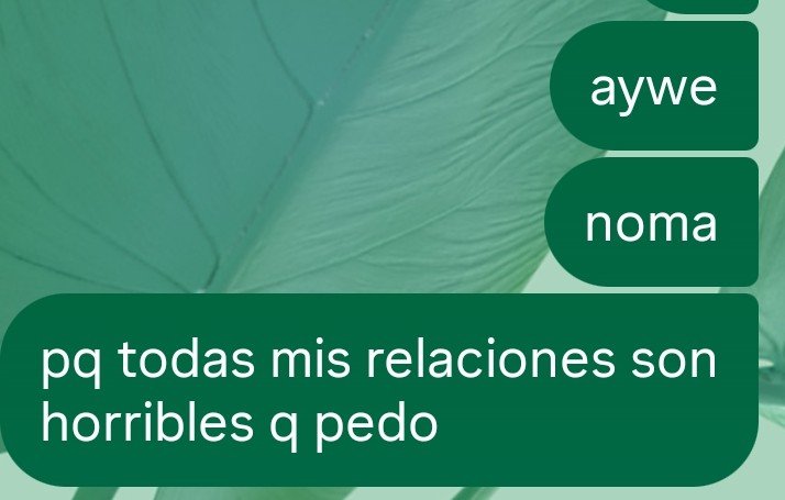 kvikikuiki's tweet photo. no puedo más https://t.co/QlNRkhD6BG