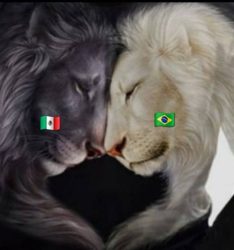 L1maoComAssucar's tweet photo. @osSEIOSde3RACHA vai México!! fomos juntos e da próxima venceremos juntos 🇧🇷🇲🇽 https://t.co/hO5KcPB8Xn