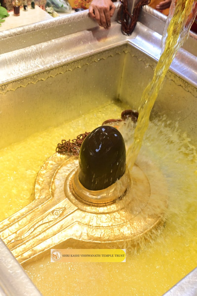 ShriVishwanath's tweet photo. श्री काशी विश्वनाथ जी की मध्यान्ह-भोग आरती I
#kashi #darshan #kashivishwanath #VishwanathDham #blessings https://t.co/6PZGLO3ZBT