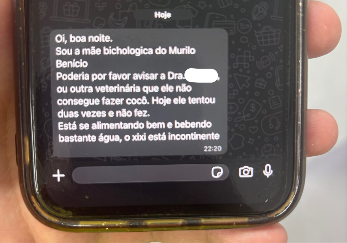 Xamberlan's tweet photo. Pprt pra mim não tem como ler um mãe bichologica domingo 10:30 da noite e não se estressar https://t.co/cLoFGgzEWd