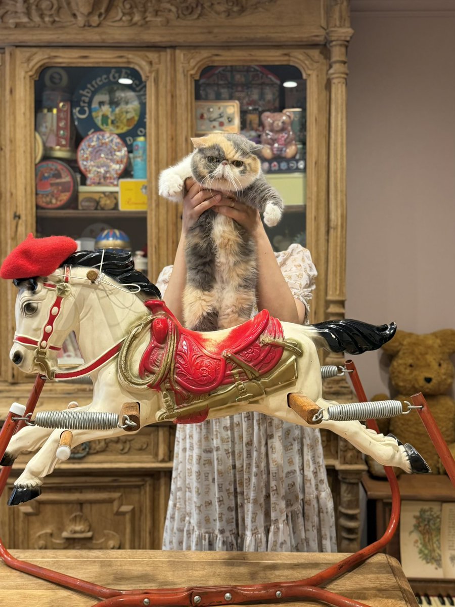 yukiemon_'s tweet photo. こんばんは🐾ニョキッ🐾

🐴アトリエセールとスワンチャペルオープンデーのお知らせ🐾

①アトリエセールについて

サンプル販売や訳ありアイテムの販売、壁紙やポップなどのおもしろ品、スタッフ私物の蚤の市を行います。木馬もでるよ🐴
イベント詳細は改めてお知らせいたします。
日程：7/25(土) 11:30〜17:30
最寄駅：表参道駅

②swantail chapel オープンデーについて

レンタルスペースとして1周年を迎えたswantail chapel。
自由に中をご覧いただけるオープンデーを設けました。
撮影やウェディングをご検討いただいている方は勿論、一度中を見てみたかったという方も、どうぞお気軽にお越しください。
『yukiemon』のアイテムの販売や、次回コレクションに向けて準備を進めているお洋服のサンプルご試着会も予定しています。
日程：8/8(土)12:30〜17:00
群馬県太田市由良町171-2
@swantail_chapel 
最寄駅：細谷駅(目の前)

#yukiemon
#ユキエモン
#ゆきえもん
#松浦由起江
#チャペル