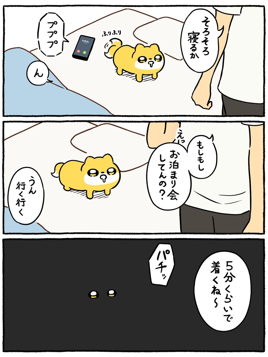 主と一緒に寝たかったにょんぎつね