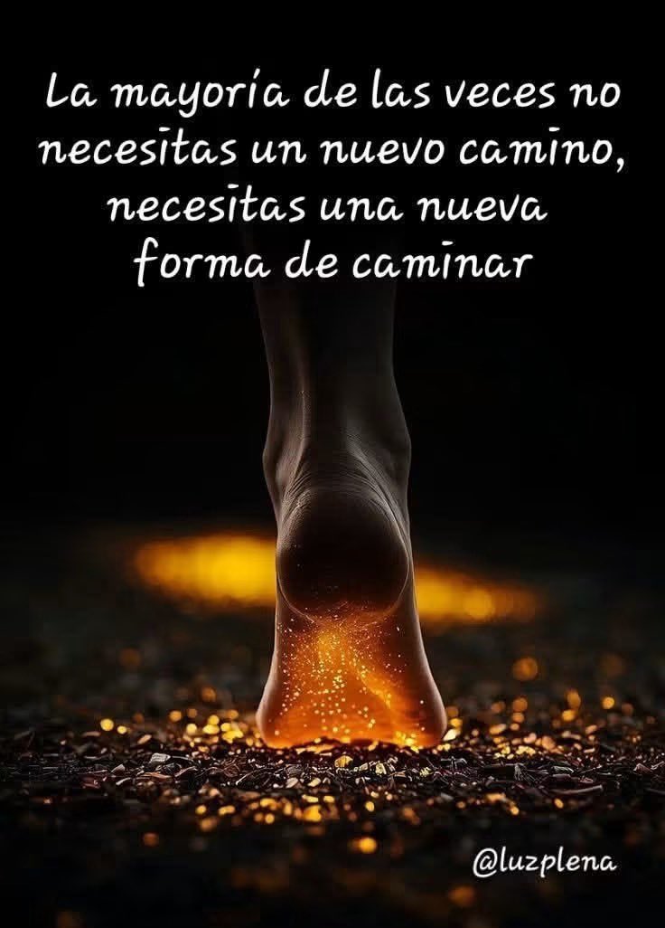 avanzandoacasa's tweet photo. https://t.co/MxSnm6k5YD