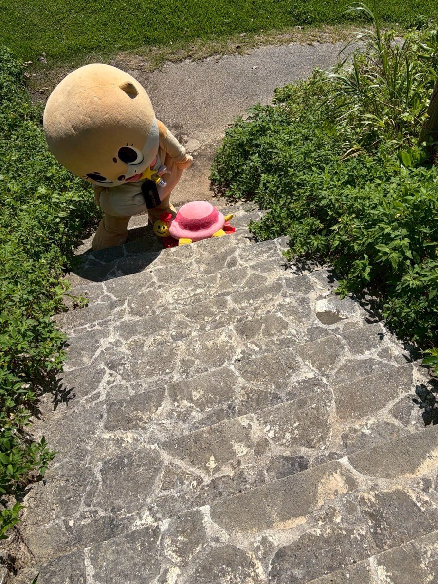 ちいたん☆ (@mickeyentry) / Posts / X
