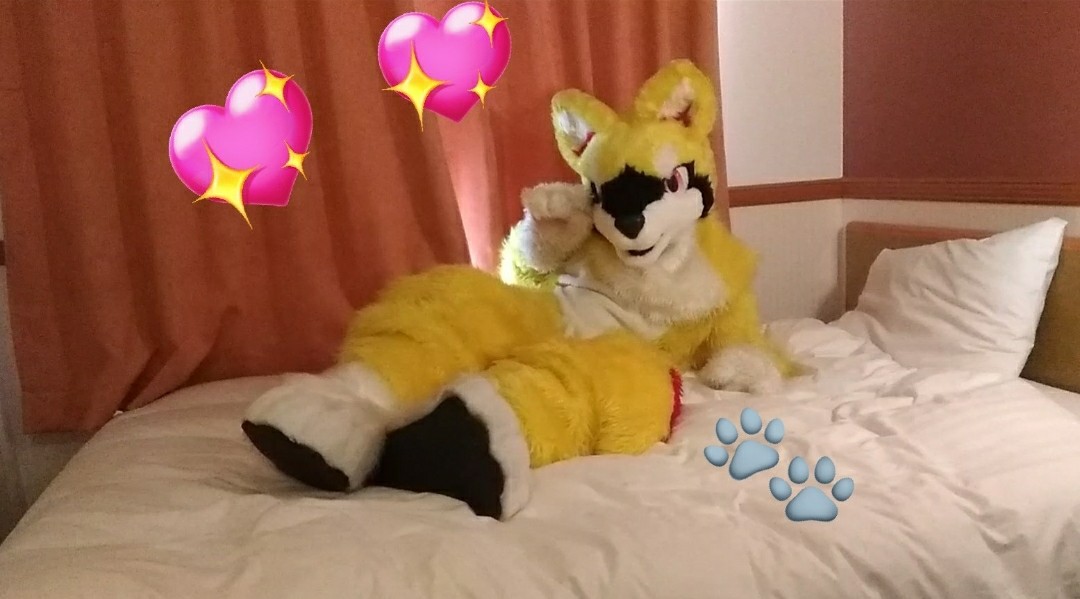 黒鹿毛 🐶🦊🐾 (@aizuline) / Posts / X