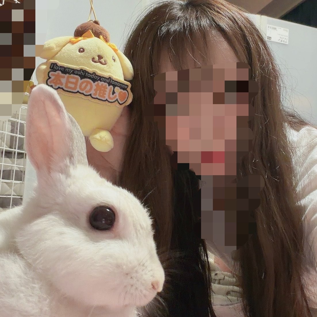 usa01095591's tweet photo. 撮ってたけど載せてなかった、先週木曜のツーショットと、ルミちゃん https://t.co/yCxELEekDg