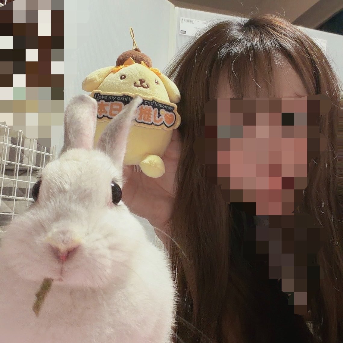 usa01095591's tweet photo. 撮ってたけど載せてなかった、先週木曜のツーショットと、ルミちゃん https://t.co/yCxELEekDg