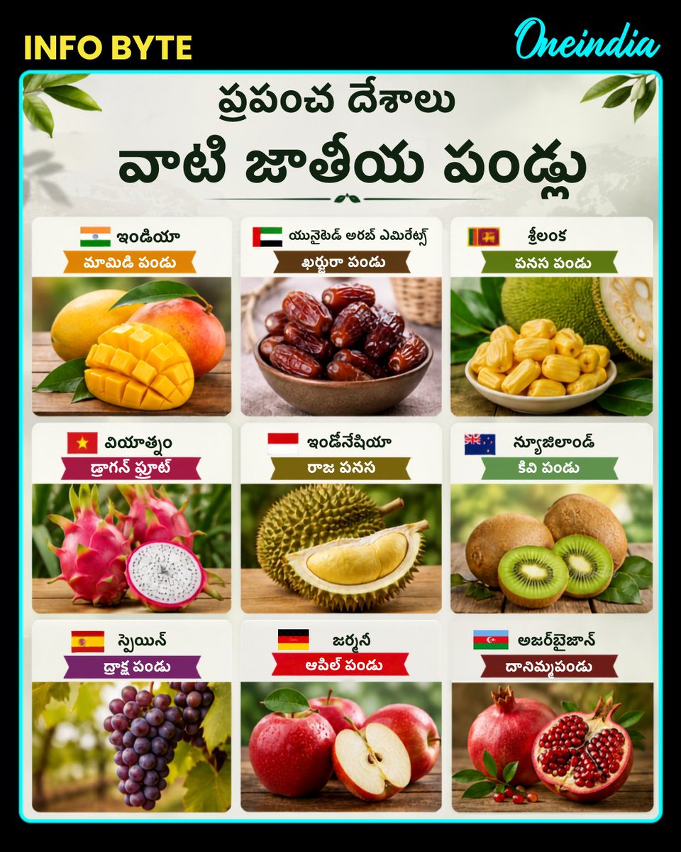 oneindiatelugu's tweet photo. దేశాలు - వాటి జాతీయ పండ్లు..! 🍎
#Countires #Fruits #InfoByte #OneindiaAI #Oneindiatelugu
ప్రపంచంలోని పలు దేశాలు తమ సంస్కృతి, సంప్రదాయాలను ప్రతిబింబించే ప్రత్యేక జాతీయ పండ్లను గుర్తించాయి. ఏ దేశానికి ఏ పండు జాతీయ గుర్తింపుగా ఉందో తెలుసుకొని ఆసక్తికరమైన విశేషాలను తెలుసుకోండి..!! https://t.co/AX7AP5y5sk