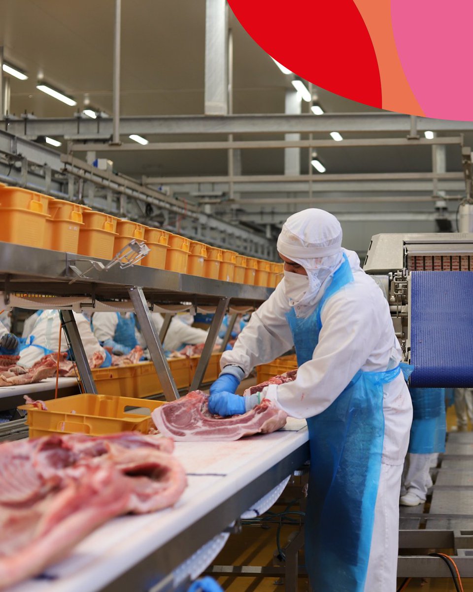 Meat Attraction tweet media