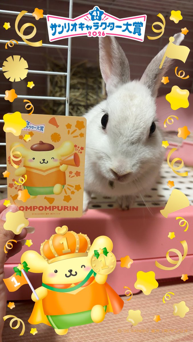 usa01095591's tweet photo. 期限まで使いまくる！ https://t.co/urzNNEpCJT