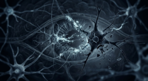 RobyChil's tweet photo. Gli scienziati potrebbero aver finalmente #scoperto #come l’#Alzheimer #uccide le #cellule #cerebrali.
#identificate le prove di un processo finora sconosciuto che potrebbe spiegare come muoiono le cellule cerebrali
Continua a leggere qui: https://t.co/wIKHrhtDk0 https://t.co/jA1CHzm3p9