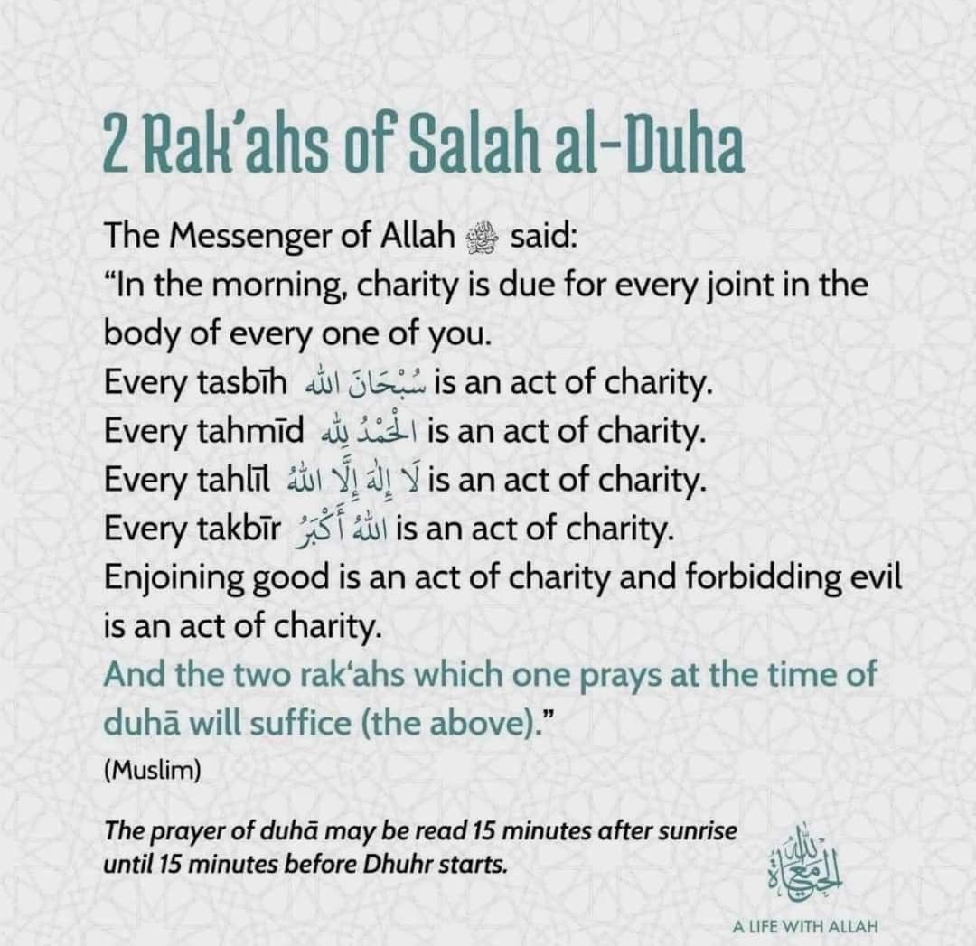 NoorEveryday's tweet photo. Salatul Duha Reminder🔔 https://t.co/GDlb9Or0gE