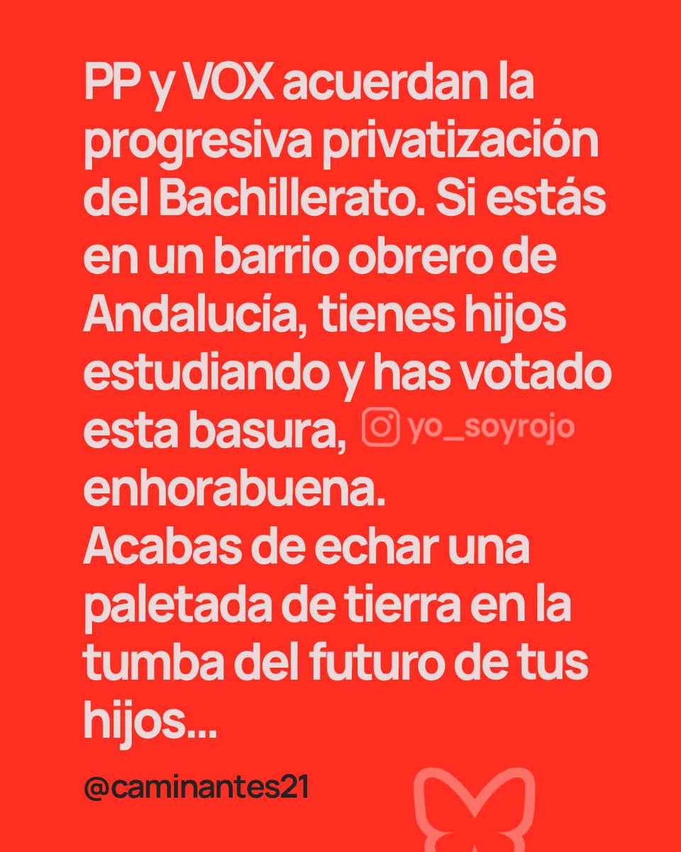 ELTOLAVARA6's tweet photo. Enhorabuena Andaluces, a disfrutar de lo votado..los hijos de los currantes no podrán estudiar..Pero tranquilos, ésto solo es un aperitivo de lo que está por venir.. Claro que,siempre os quedarán las cañitas y una bonita tarde de toros.🫣😂😂😂👇 https://t.co/AujBT3udoN