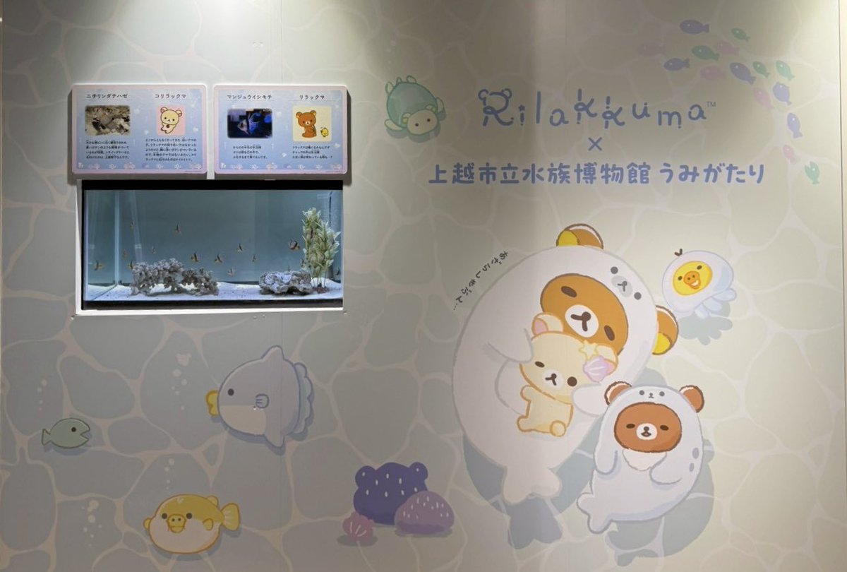MINORINLOVE1's tweet photo. リラックマ × 上越市立水族博物館 うみがたり

館内にはこんなふうにどどーんとリラックマたちのイラストがたくさんの展示スペースもありましたᕙ( ˙꒳​˙  )ᕗ

解説を読むと、リラックマたちに似ているところのある魚の解説が載っていたりして面白かったです👀✨ https://t.co/XBplkFDYEH