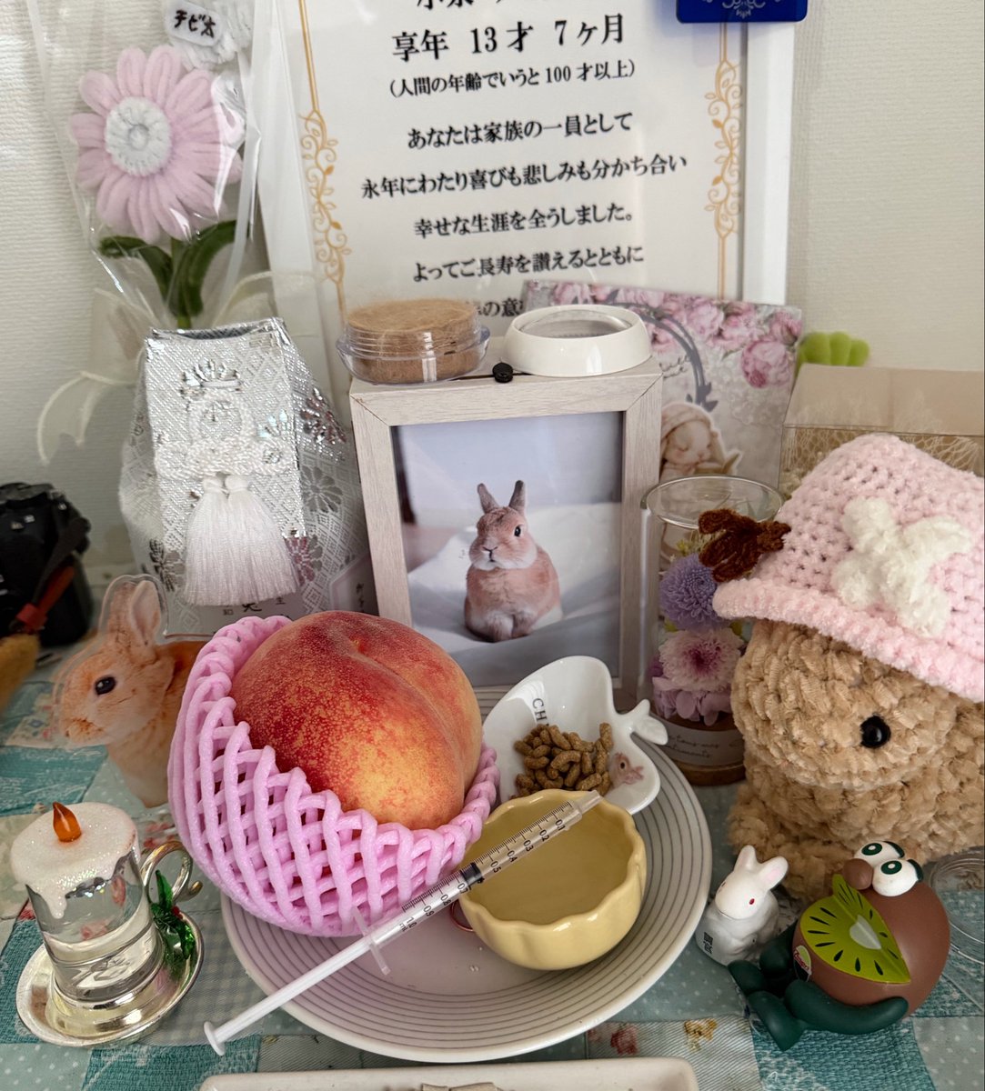 piccolocibi's tweet photo. 素敵なプレゼントが届きました🎁🍑

桃はチビ太ちゃんの大好物🐰💕
寝たきりの時も足ダンして「早くちょうだい！😡」って大興奮だったね🤣

きっと大喜びで桃の周りぴょんぴょんしてそう🤭本当にありがとうございます♡

色々思い出して涙止まらないけどチビちゃん大好き😘素敵な思い出ありがとう！ https://t.co/fiwDwNcmuX