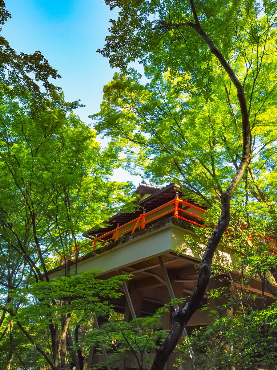kazu_pot27tora7's tweet photo. 〜ぶらりフォト【京都】今熊野観音寺〜

"朝早で行く古都京都の新緑巡りその④①"

OLYMPUS E-M1
OLYMPUS M.12-40mm F2.8 PRO
#今熊野観音寺 https://t.co/JqAR5t7Vgq