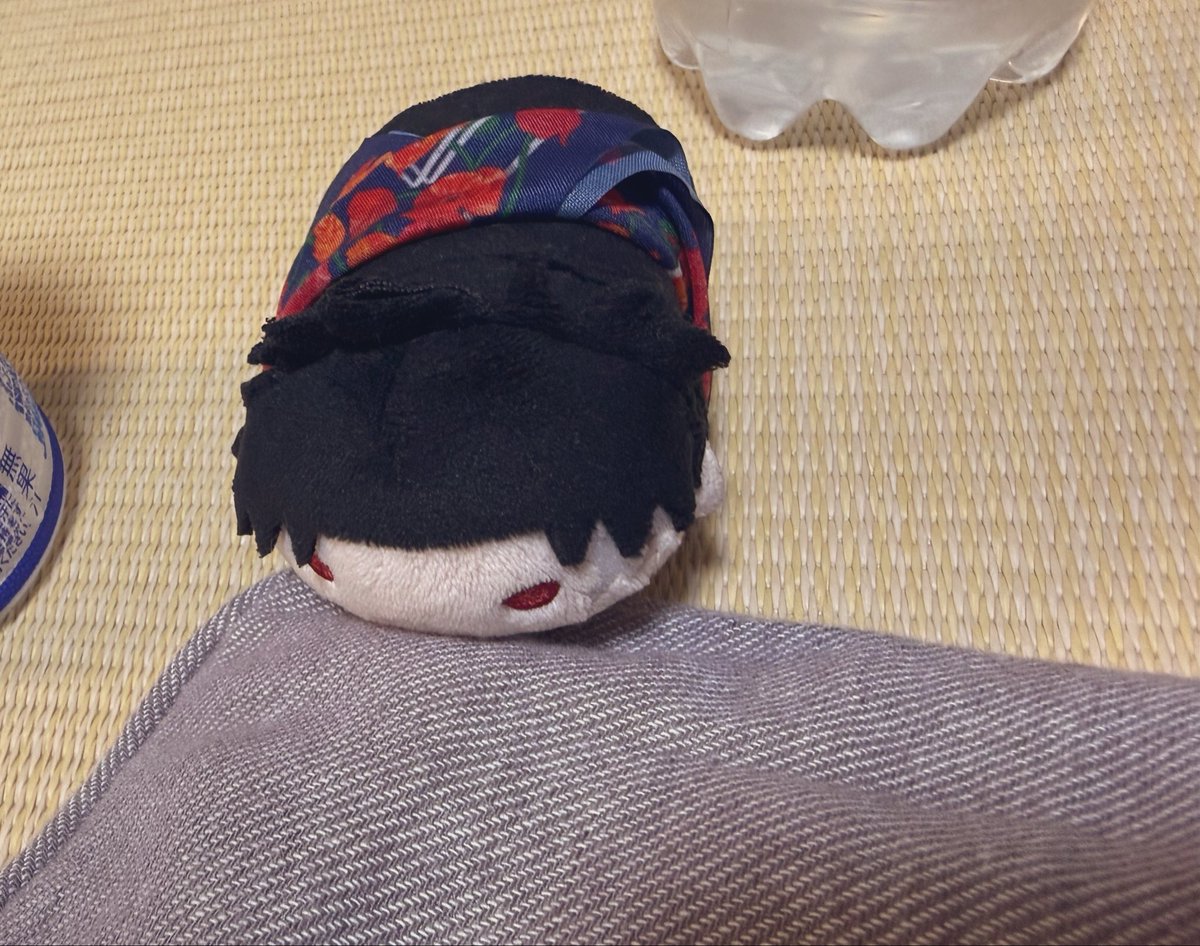 gomimakiba's tweet photo. ちひぬいくん、ままならない事が多いのね https://t.co/nNSZUQiD0j