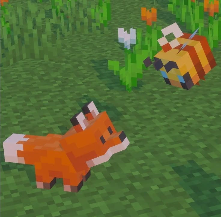 TheFoxLife's tweet photo. https://t.co/knyZiMpVpD