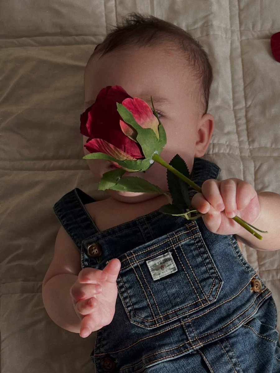 radianceglimmer's tweet photo. born to be adored https://t.co/L0e2dZFaV7