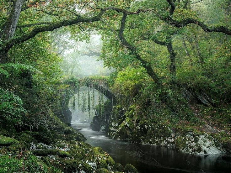 elemmiressoul's tweet photo. enchanted. https://t.co/DZrNTeCwwW