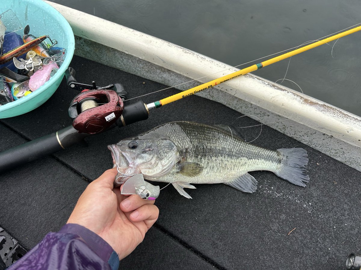 RATTLIN_JETTER's tweet photo. H-1プラで芦ノ湖！放流君だけど昨日購入したヘドバン+ブーティシェイカー入魂🔥
さてさて本番どうしたもんか、、、、めちゃくちゃムズいぞ😱
#h1gpx 
#SSOB 
#ヘドバン 
#湖尻茶屋 https://t.co/Nr4fh709u7