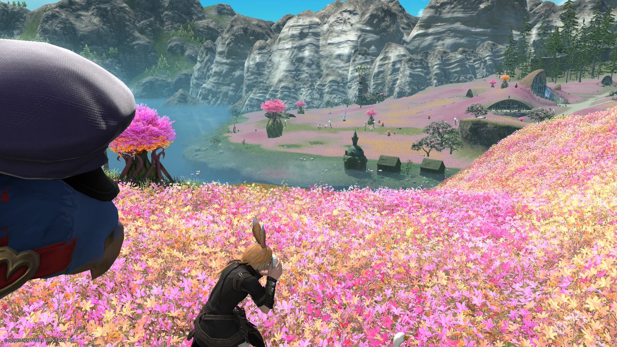mike_Meteor_'s tweet photo. イルメグ、久々に来たらお花が密集してるしすごーく綺麗
どこでも写真スポット
『チョコボ目線のご主人』🤣

トルガル久しぶりぃ。
耳が無くなっててかわいーなー❤

#FFXIV https://t.co/HbGbhT47Pu