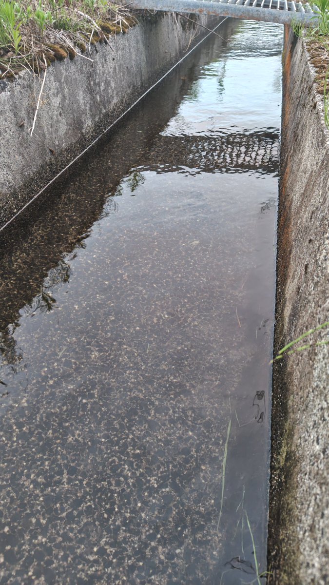 theodor_oka's tweet photo. 水利権がない農家が水路から用水をポンプで汲んでいる現場に居合わせ、注意したところ口論になった件。
当該の人は周囲の農家と極めて折り合いが悪く常習的にマナー違反を繰り返している性質があるようでした。

令和の今も水争いって起きるんです。 https://t.co/hfOtt6i6xa