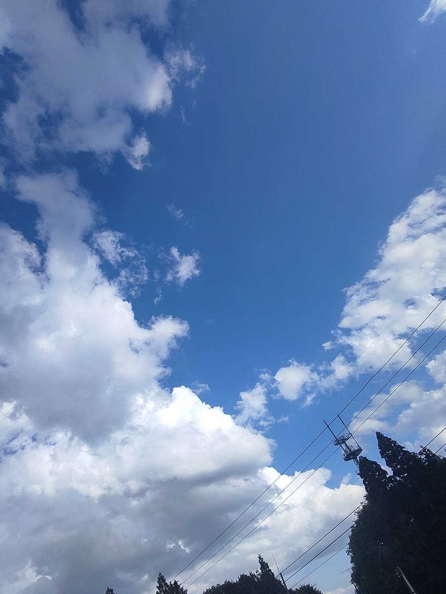💫✨🐲🐲✨💫 はいッ… ✨太郎丸💫さま✨ どうゾ 💫撮影は小久保さん