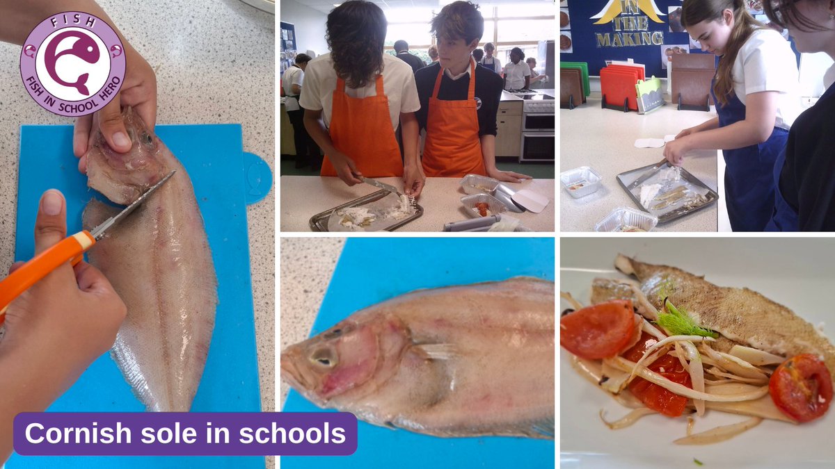HeroesFish's tweet photo. Thanks to Chapman's of Sevenoaks, Cornish sole has been on the cooking curriculum!

Pupils have used this brilliant fish, learning about fish from around the UK and sustainability too!

Here's to our  #FishHeroes⤵️ 
https://t.co/RCWYhr8ePc
  
@FishmongersCo https://t.co/JQJdn8ax94