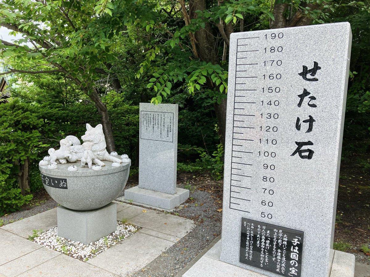 musee_zo's tweet photo. 花手水してたよ💐自然に癒されますね https://t.co/en3bxlwI6Y
