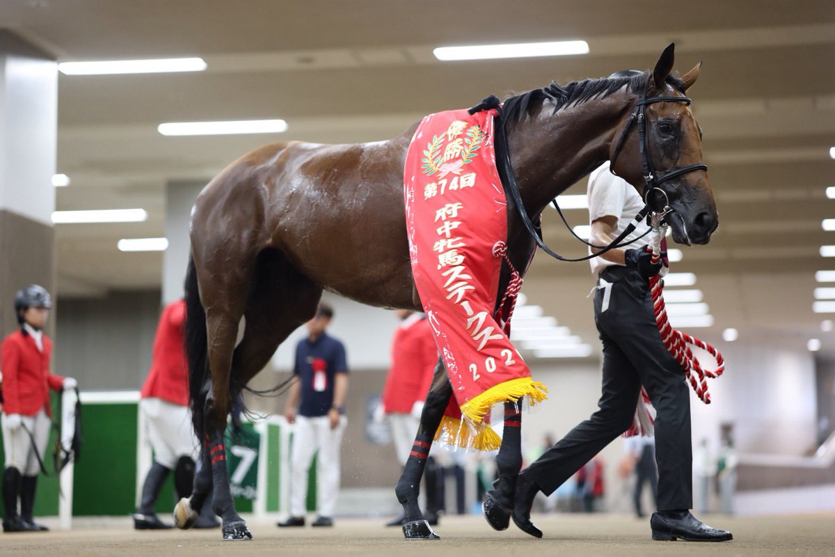 TNRacing_keiba's tweet photo. 【セキトバイースト】
府中牝馬ステークス2026の優勝レイはこちらのお店に飾ります！！

『和牛焼肉ニード』
（神戸元町ウインズ近くでTNレーシングオーナーの親族が経営する焼肉店）

💁お店はココ↓
神戸市中央区元町通2-9-1 元町プラザ201
https://t.co/KYKiic2xiS
https://t.co/AYDZSoA1Jk

優勝レイ展示記念の赤兎馬半額サービス🍹
ただ今、展示準備中。飾りましたらお知らせします🐴
#セキトバイースト　#和牛焼肉ニード　#府中牝馬ステークス