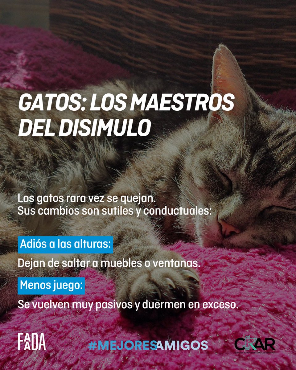 FAADA tweet media