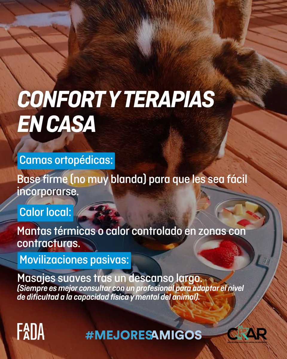 FAADA tweet media