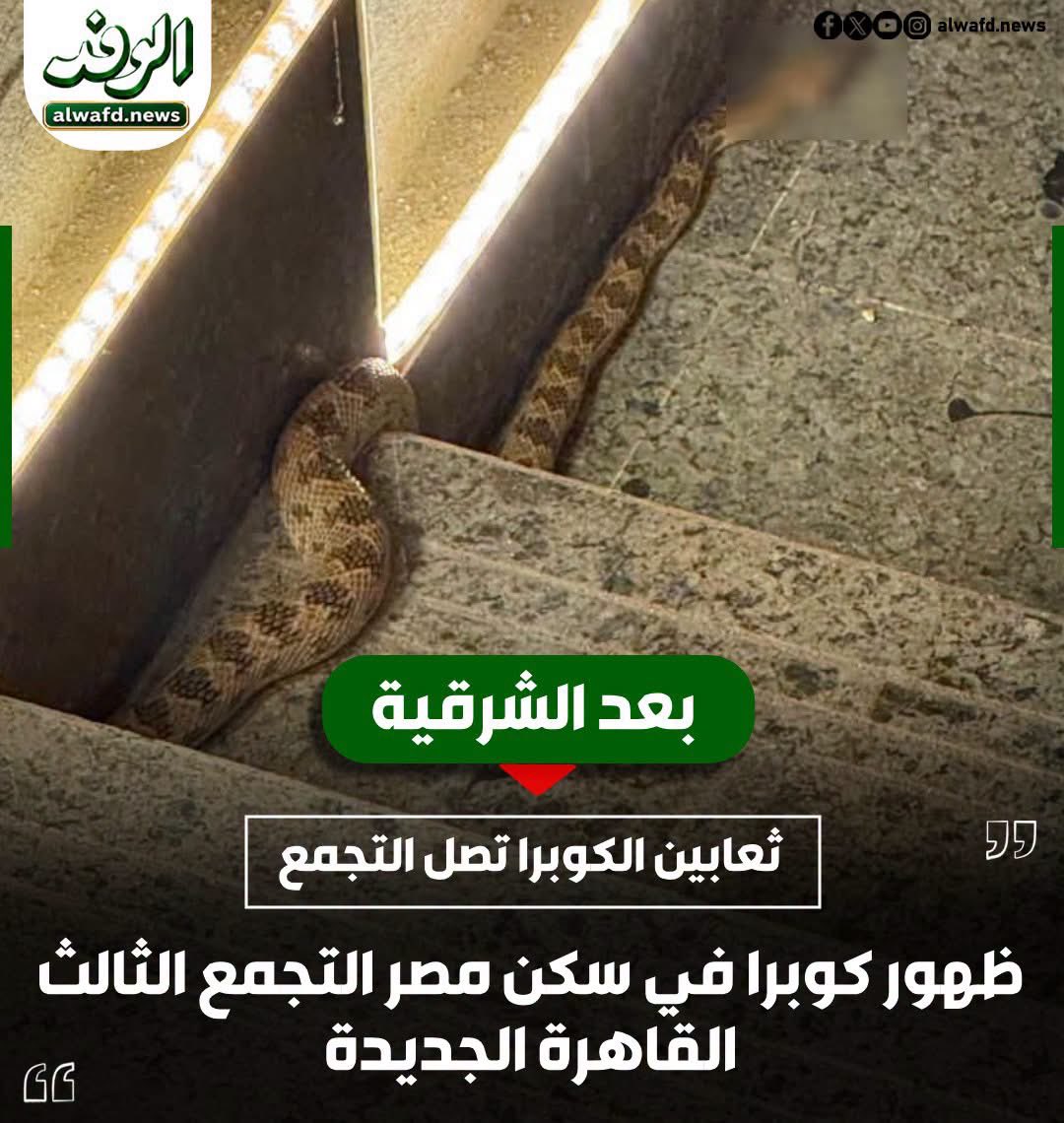 Rania Elkhateeb tweet media
