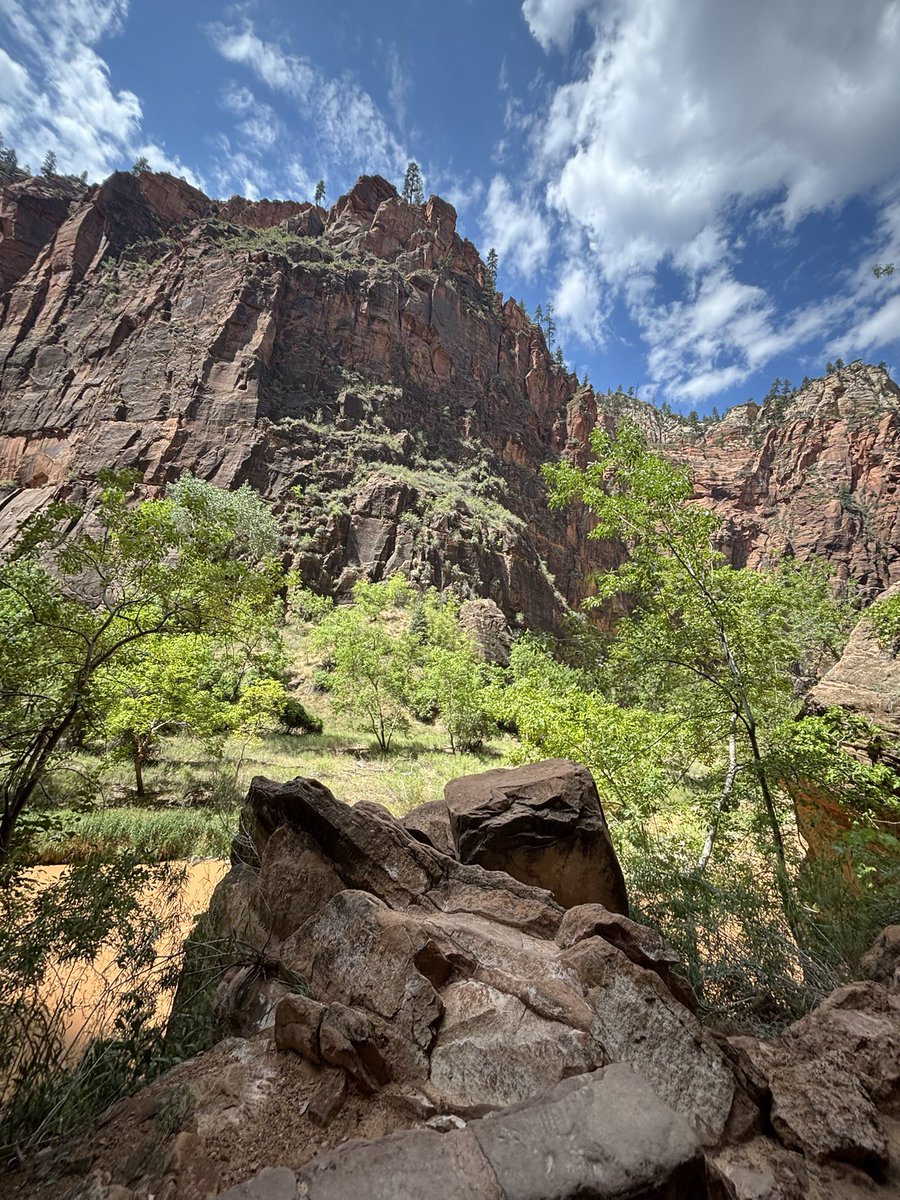 nitri_18's tweet photo. Zion⛰️ https://t.co/8AEEGV96Ni