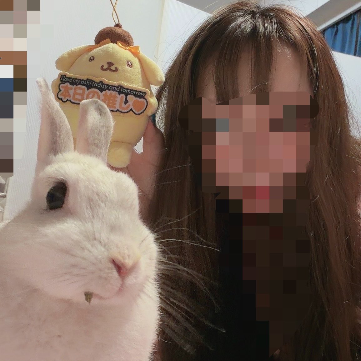 usa01095591's tweet photo. やっと追いついた
昨日のツーショットと、ルミちゃん🐇🎀 https://t.co/7Oes6h00uQ