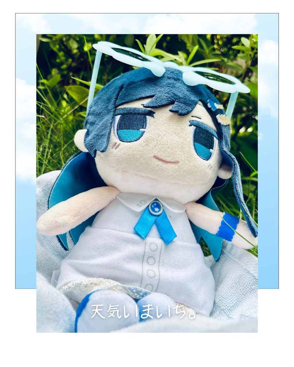 鮫丸 (@samemaru_sasimi) / Posts / X