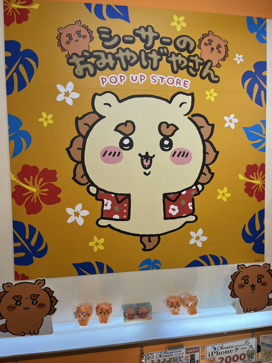 kobuta_THOMAS's tweet photo. 国際通りにもシーサーのおみやげやさんあった！ https://t.co/V8a9wZG80F