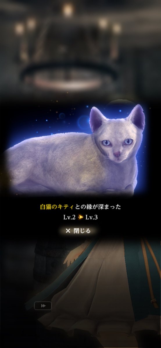 YUGA500's tweet photo. キティ「どうせまた白狼討伐にカスホするんだろ？早く俺の好物の魚残り133匹釣ってこいニャ😼」
#ウィズダフネ https://t.co/WV7ZKbSGoq