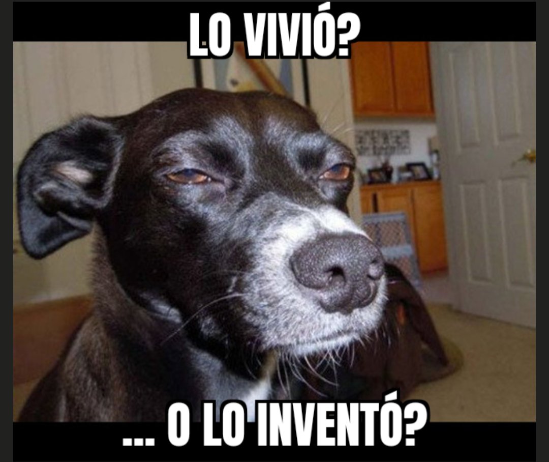 devloopbit's tweet photo. @lulistone12 Yo tengo mis dudas... https://t.co/Jjw3iEWXJM