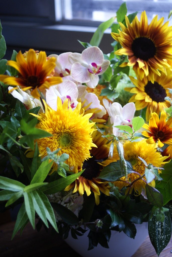 azito_yome's tweet photo. 旦那様から奥様へ
ひまわりを入れたアレンジメント🌻

N様この度もありがとうございました
おめでとうございます🎉
・
・
・
7月Lab(レッスン)の参加申込受付中です
土台からつくる枝ワークです
詳細はHPかnoteからご確認いただけます
#西宮花屋アジト https://t.co/EEajcjkhEi